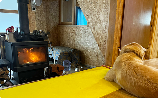 エマがくつろぐ様子